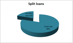 Split loans